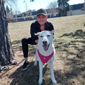 Meet your Posher, Suzanne